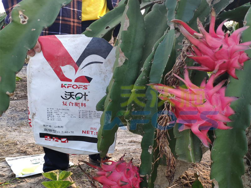 大量元素水溶肥如何使用、什么樣的最好？