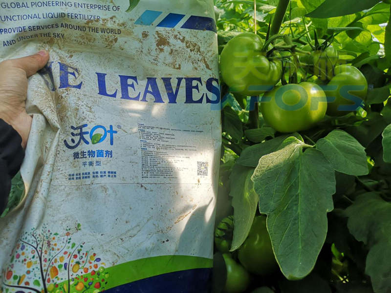 微生物菌劑怎么用，效果佳？