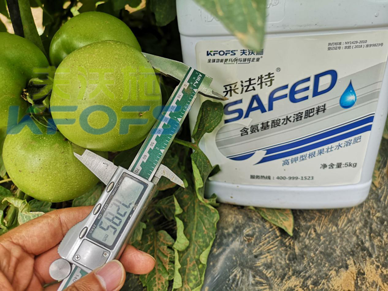 大棚蔬菜冬季用什么肥？