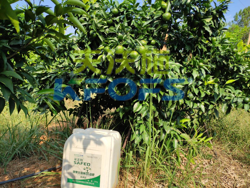 果樹(shù)使用哪種水溶肥能安全過(guò)冬？