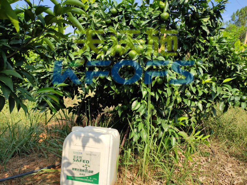 果樹(shù)使用哪種水溶肥能順利過(guò)冬？