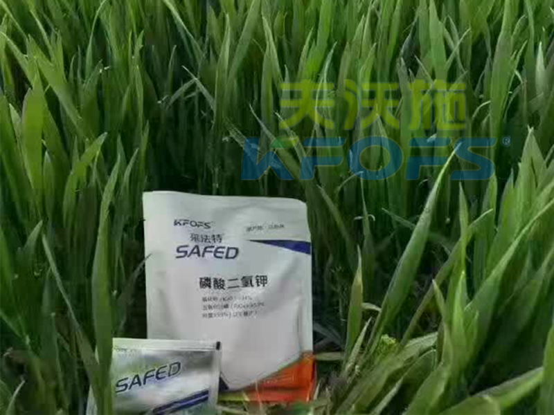 磷酸二氫鉀怎么使用，作物才能長得好