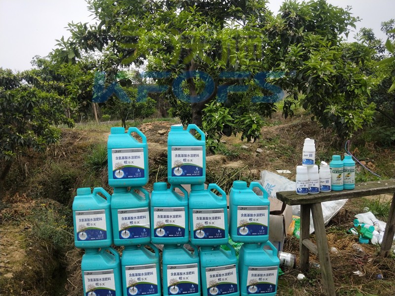 水溶肥在柑橘上怎么使用效果好，一定要收藏