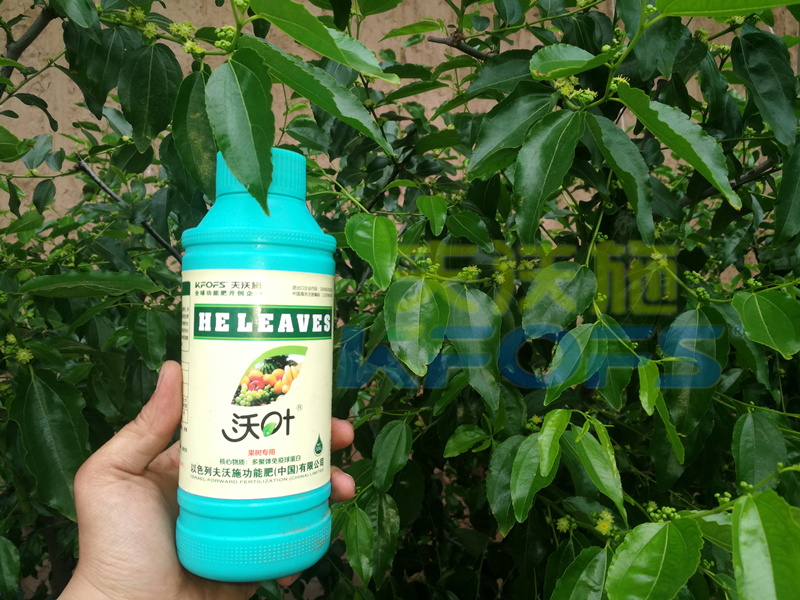 葉面肥哪家好？真實(shí)案例告訴你