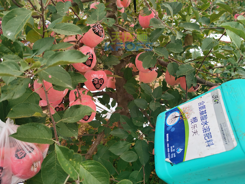 蘋果水溶肥哪個(gè)牌子好-沃葉根樂(lè)夫.png