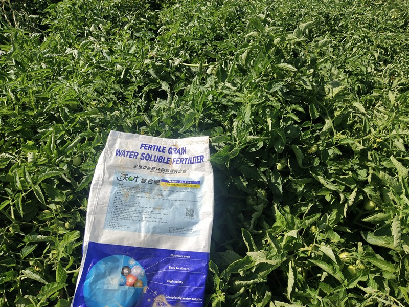 水溶肥這樣用效果好，你知道嗎？