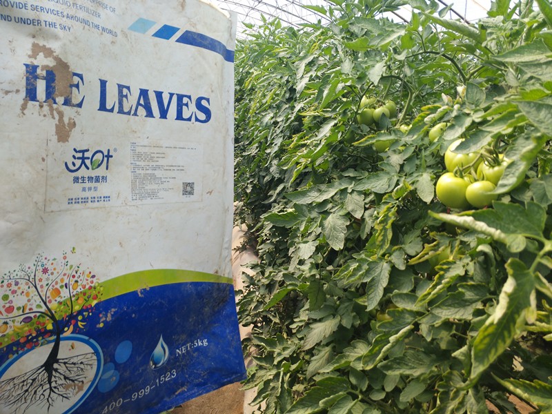 微生物菌劑哪家好？別上當(dāng)了