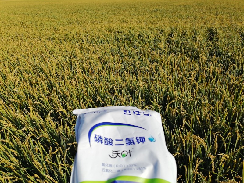 三分鐘看懂磷酸二氫鉀哪個品牌好！