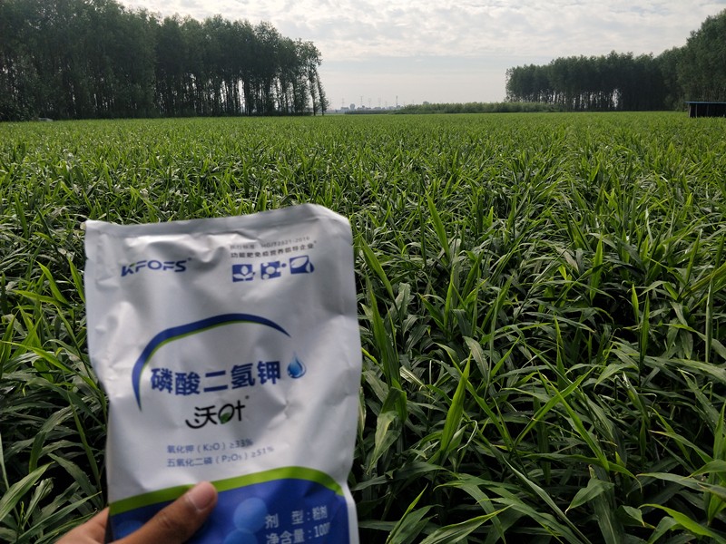 沃葉水溶肥價(jià)格是多少，真假如何鑒別？