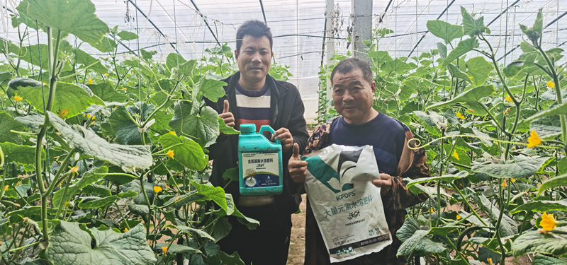 水溶肥為什么要選擇正規(guī)廠家？周總的教訓！