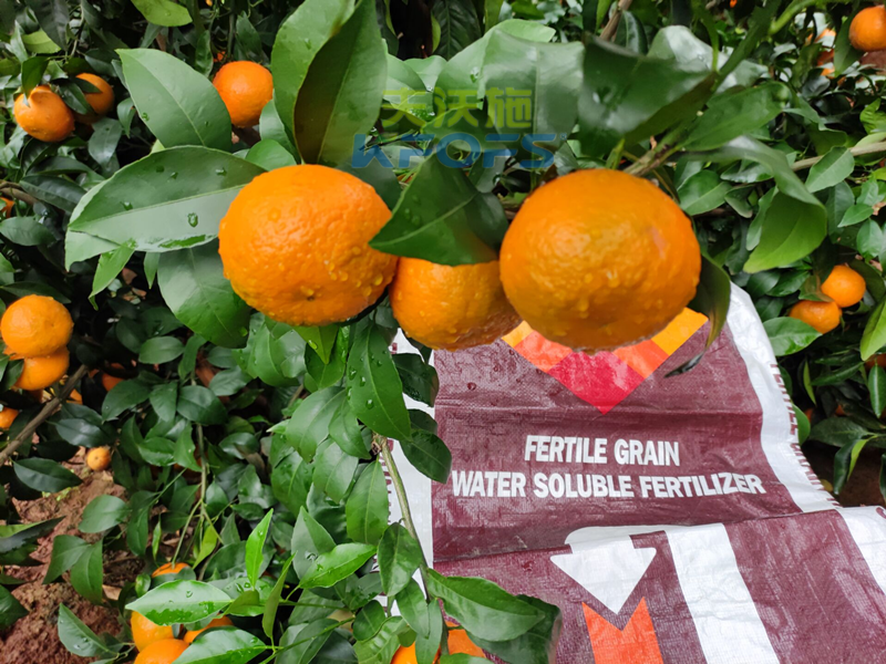 進口水溶肥到底怎么樣？郭老板告訴你這些