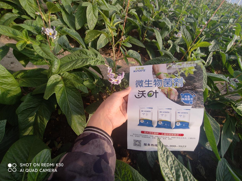 水溶肥廠家怎么挑選？張老板告訴你實情