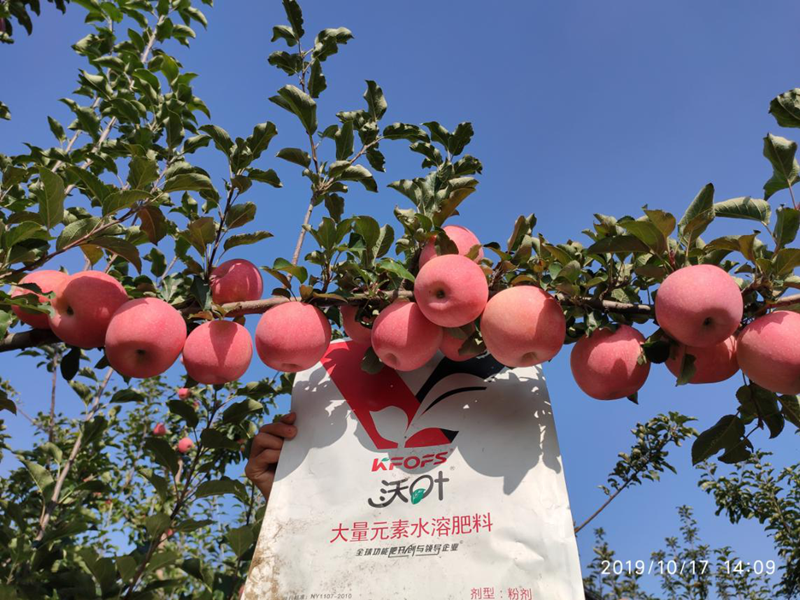 大量元素水溶肥如何使用及注意事項(xiàng)