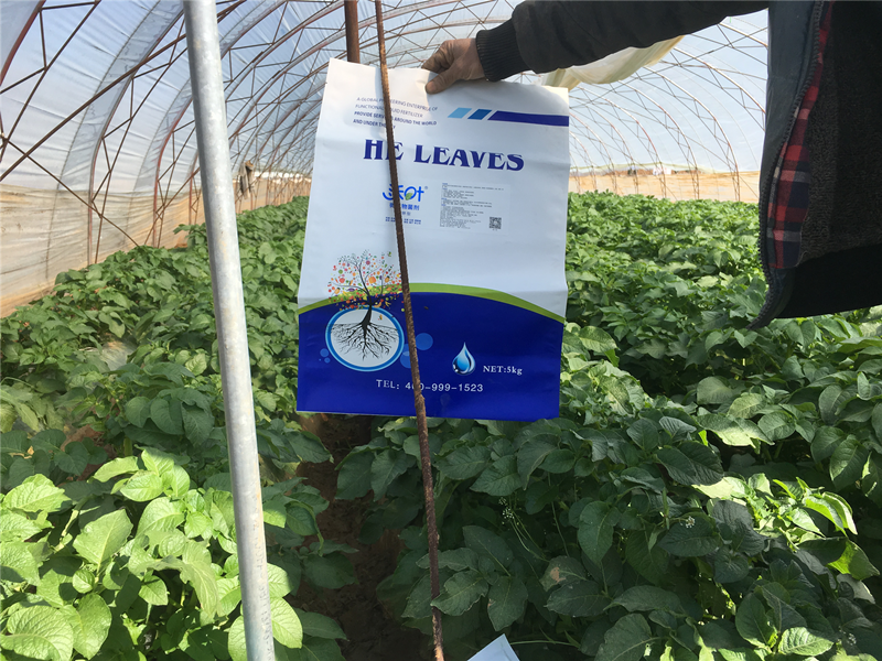 水溶肥使用效果不明顯？那是因為你沒有掌握這幾點