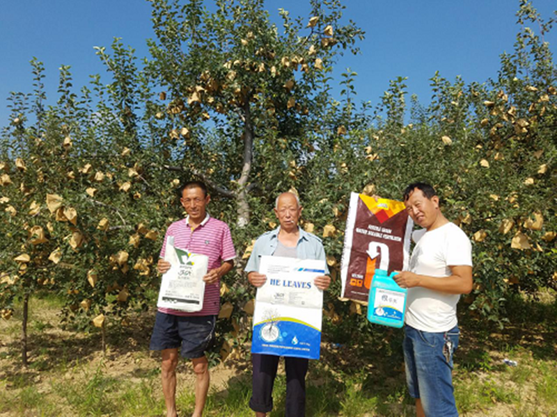 選擇水溶肥時需要查看哪些內(nèi)容呢？