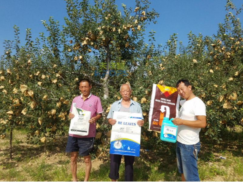 生根劑-果樹根腐救星！