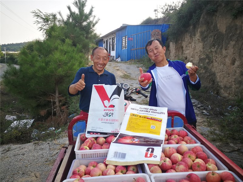 水溶肥如何選擇，果樹應(yīng)該使用什么類型？