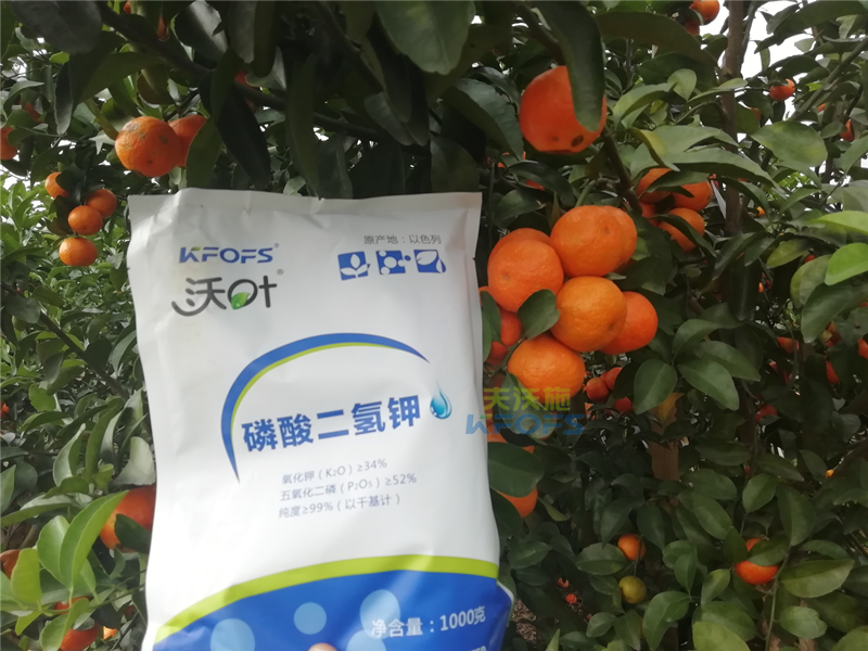 磷酸二氫鉀施用事半功倍，果樹補(bǔ)鉀應(yīng)怎么選？