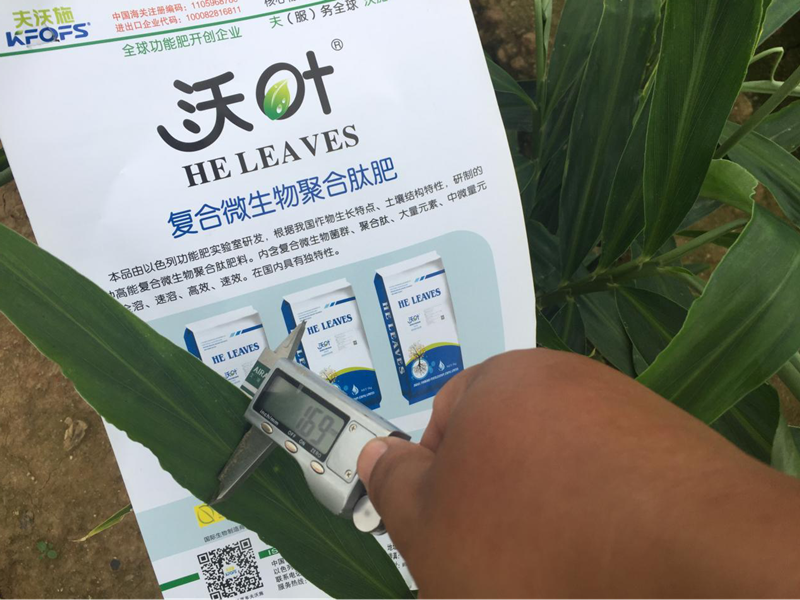 都說微生物菌劑好，到底有啥用