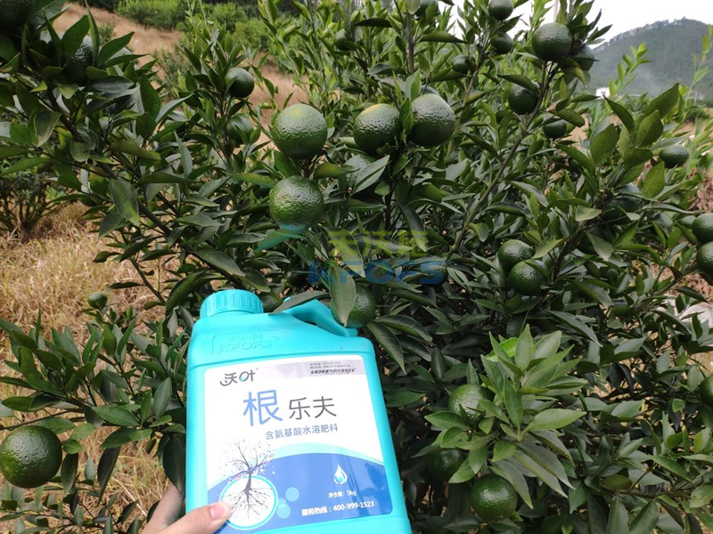 生根肥什么時(shí)候施好，正確的用肥方法來(lái)了！