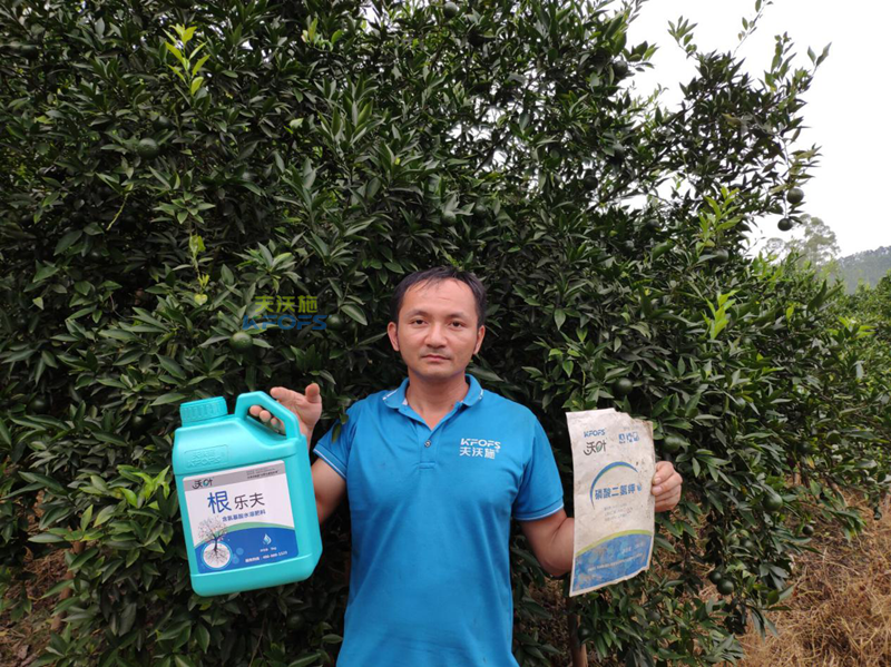 果樹生根劑用什么好，你真的選對了嗎？