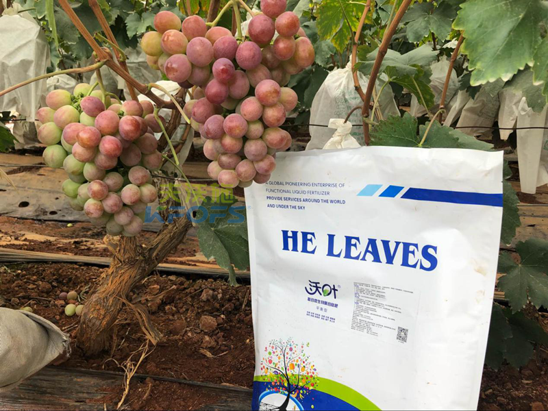 微生物菌劑好在哪里？