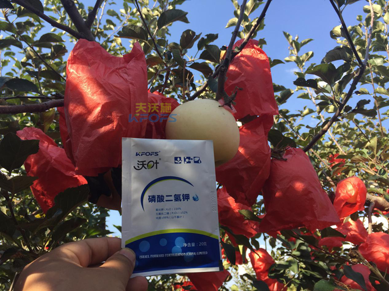 磷鉀肥和磷酸二氫鉀有什么區(qū)別？