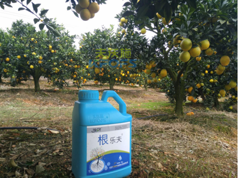 如何正確使用生根劑？