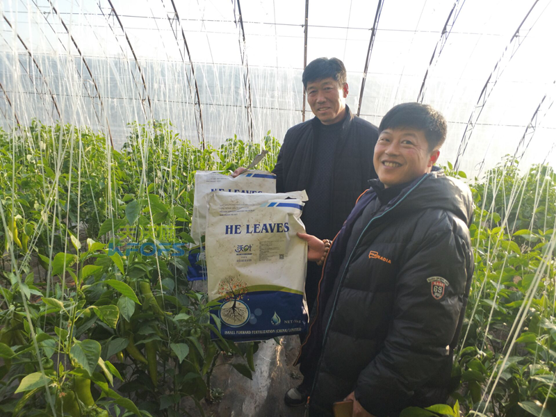 微生物菌劑是依靠什么在市場中迅速火爆起來？