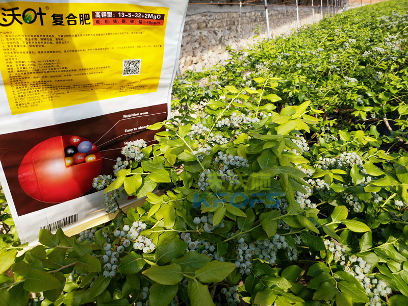 肥料價(jià)格的差距，給作物帶來了什么差距？