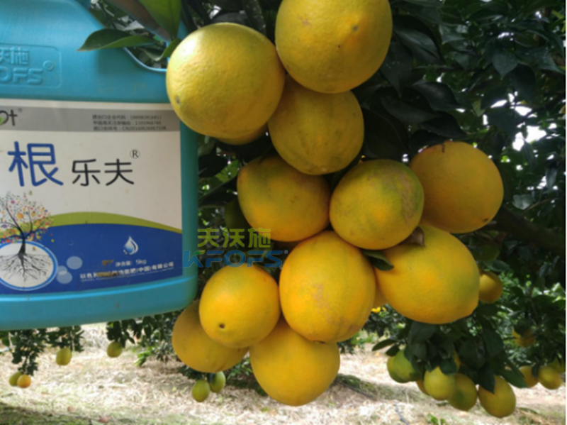 果樹沖施肥的方法和時間？