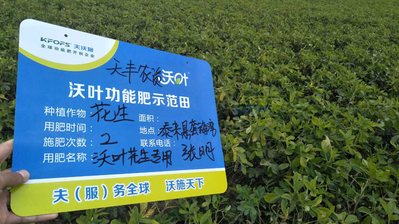 花生增產(chǎn)葉面肥用哪些好？