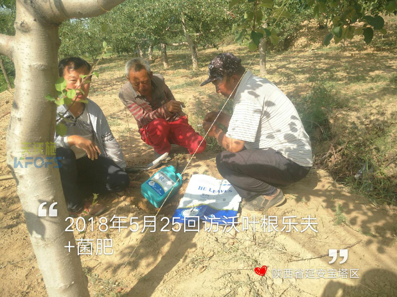 生根劑使用方法！