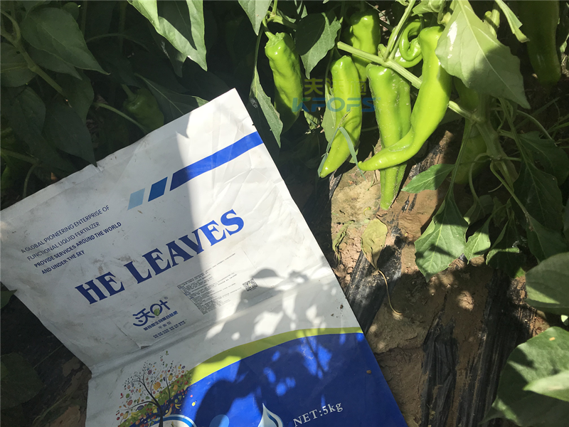 生物菌肥的作用！