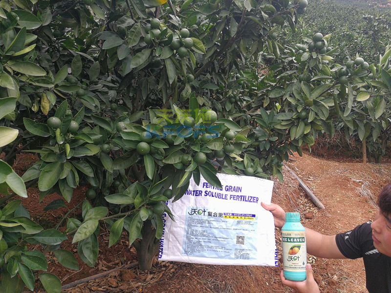 什么水溶肥好？