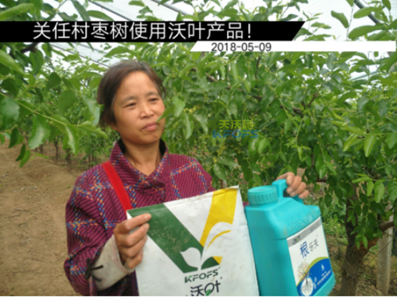 水溶肥在果樹(shù)上的施用 水溶肥在果樹(shù)上的施用