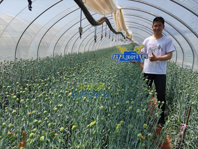 進(jìn)口水溶肥怎么選？王總的答案！