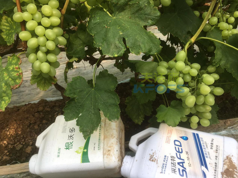 沖施肥的使用方法