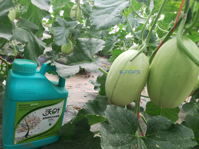 水溶肥您了解多少？