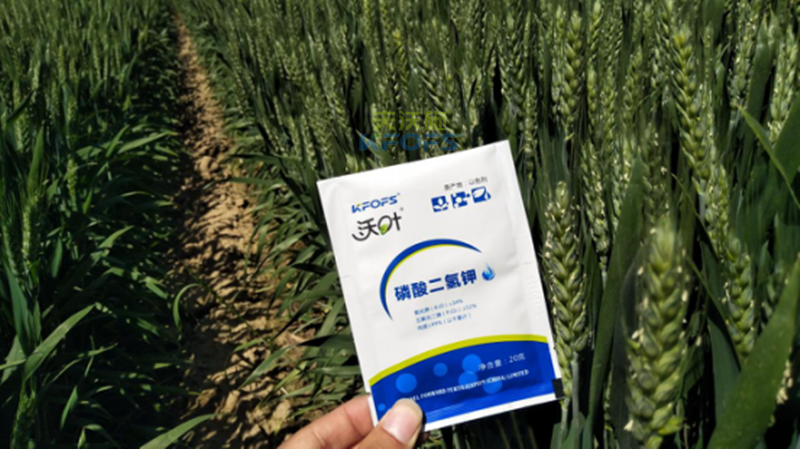 磷酸二氫鉀的應(yīng)用