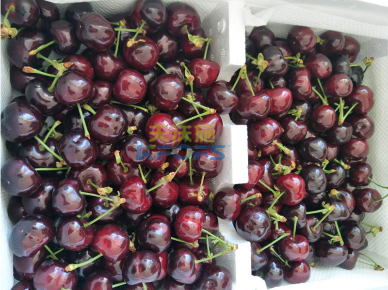 沖施肥的用途？