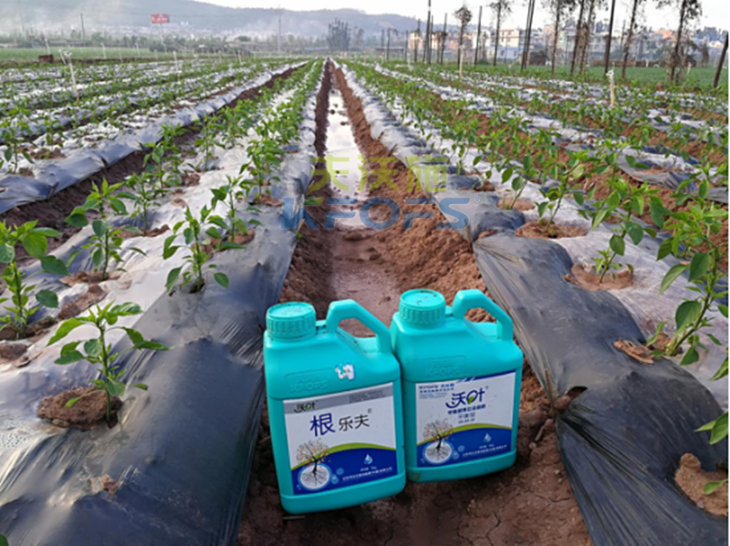 沖施肥如何在蔬菜大棚中使用？