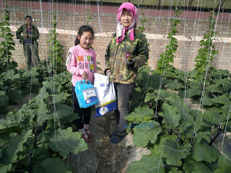 生根劑的使用方法和注意事項(xiàng)