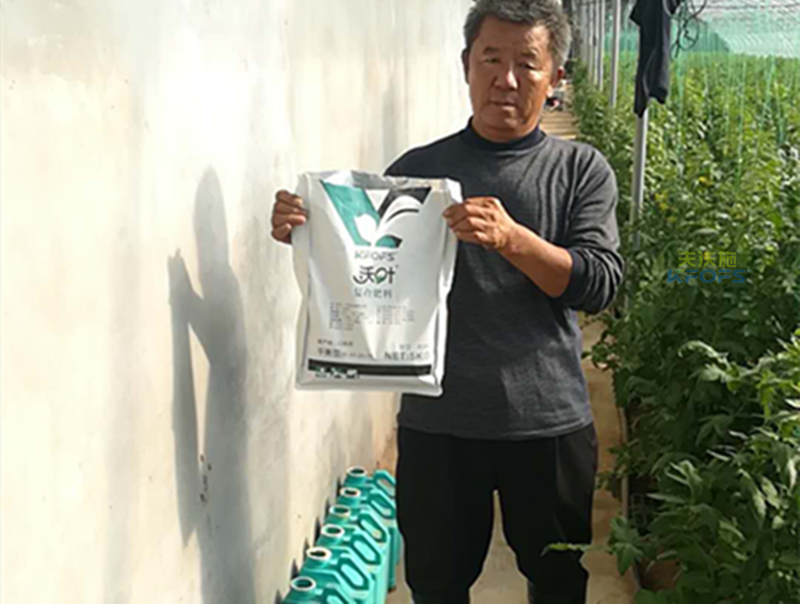 復(fù)合肥料哪種好？