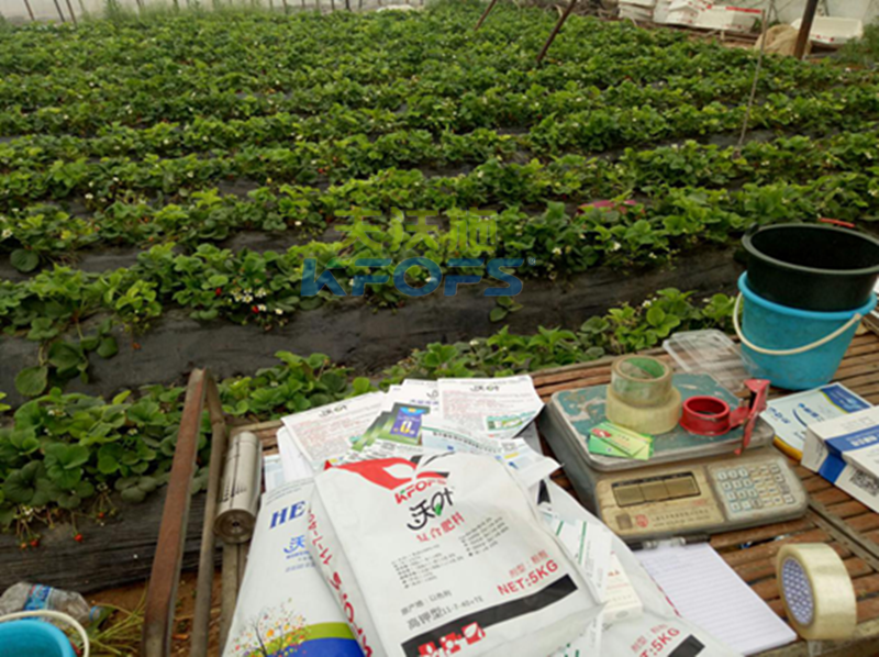 復(fù)合肥怎么使用？