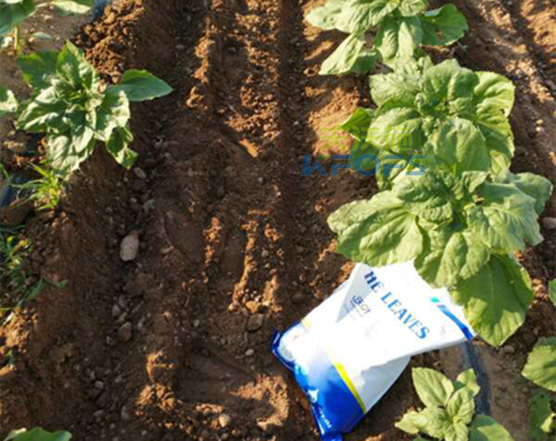 有機(jī)肥是什么？