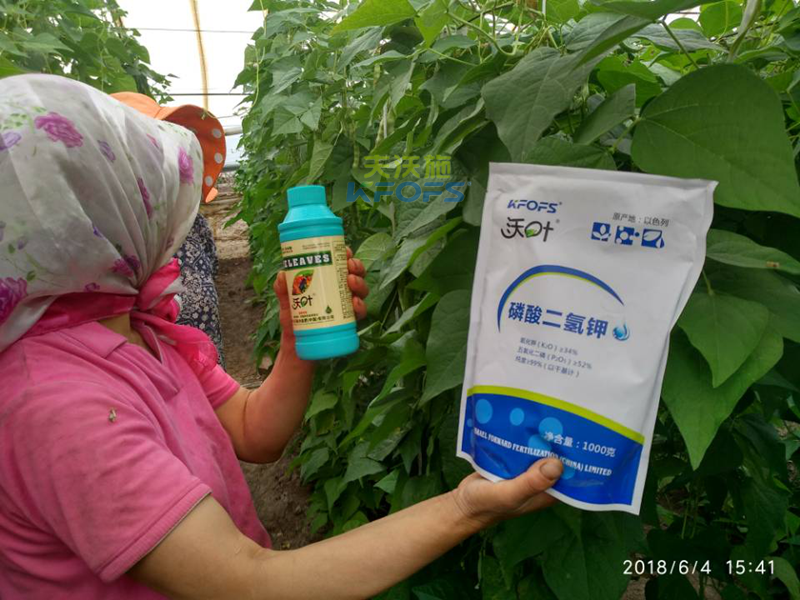 豆角需要什么樣的沖施肥？