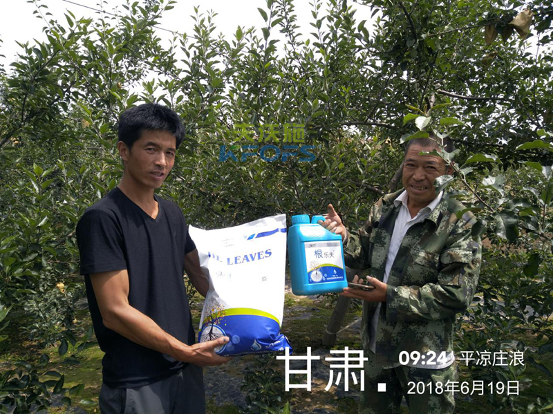 蘋果怎么施肥？