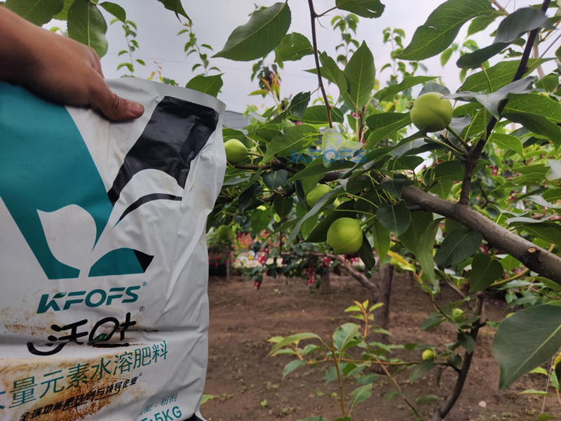 水溶肥好在哪？