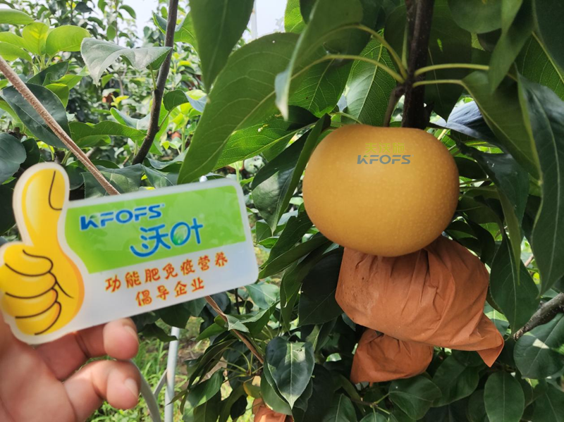 水溶肥怎么選？李總來幫你支招